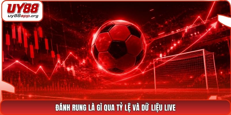 Đánh rung là gì qua tỷ lệ và dữ liệu live