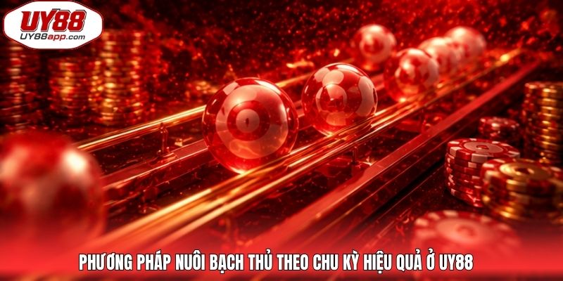 Phương pháp nuôi bạch thủ theo chu kỳ hiệu quả ở UY88